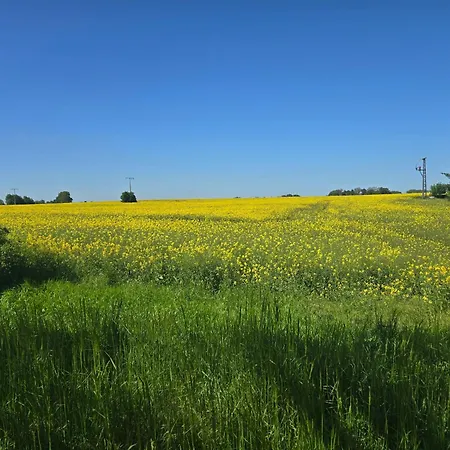 Heimeliges Ruegen *