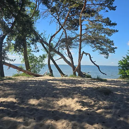 Holiday home Heimeliges Ruegen Zudar